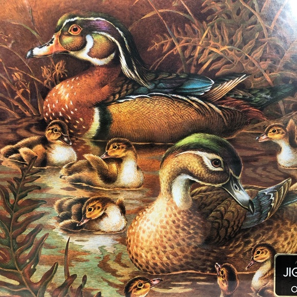 Springbok FAMILY OUTING Ducks Ducklings 500+ pc Jigsaw Puzzle Hallmark PZL2109 - Picture 4 of 4